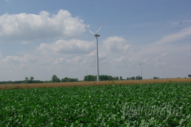 Wyjazd na farmę wiatrową do Dobrzynia nad Wisłą