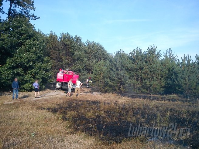 Pożar lasu w Kamionce