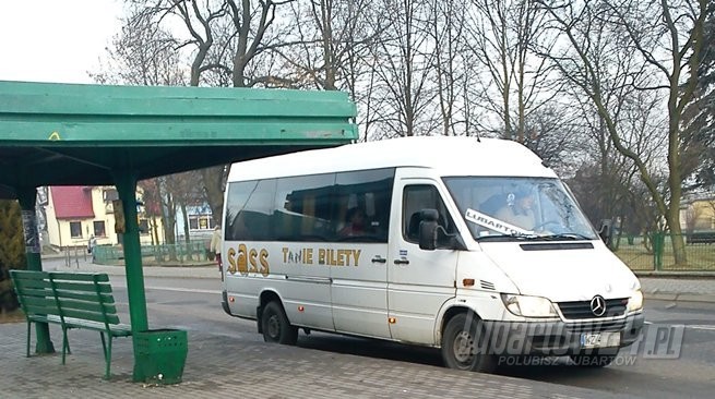 Bus
