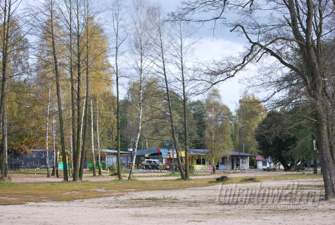 Firlej