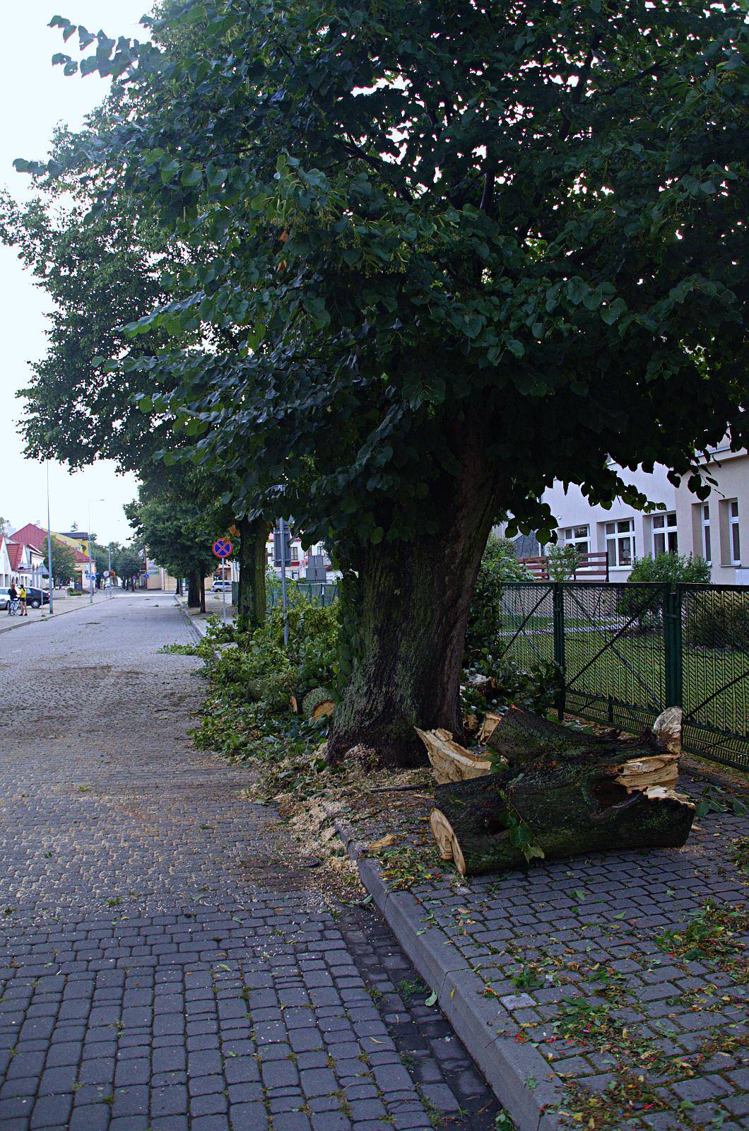 Nawałnica