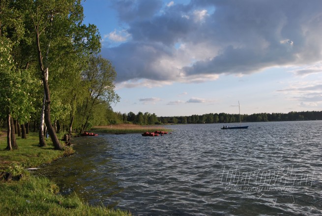 brzeg