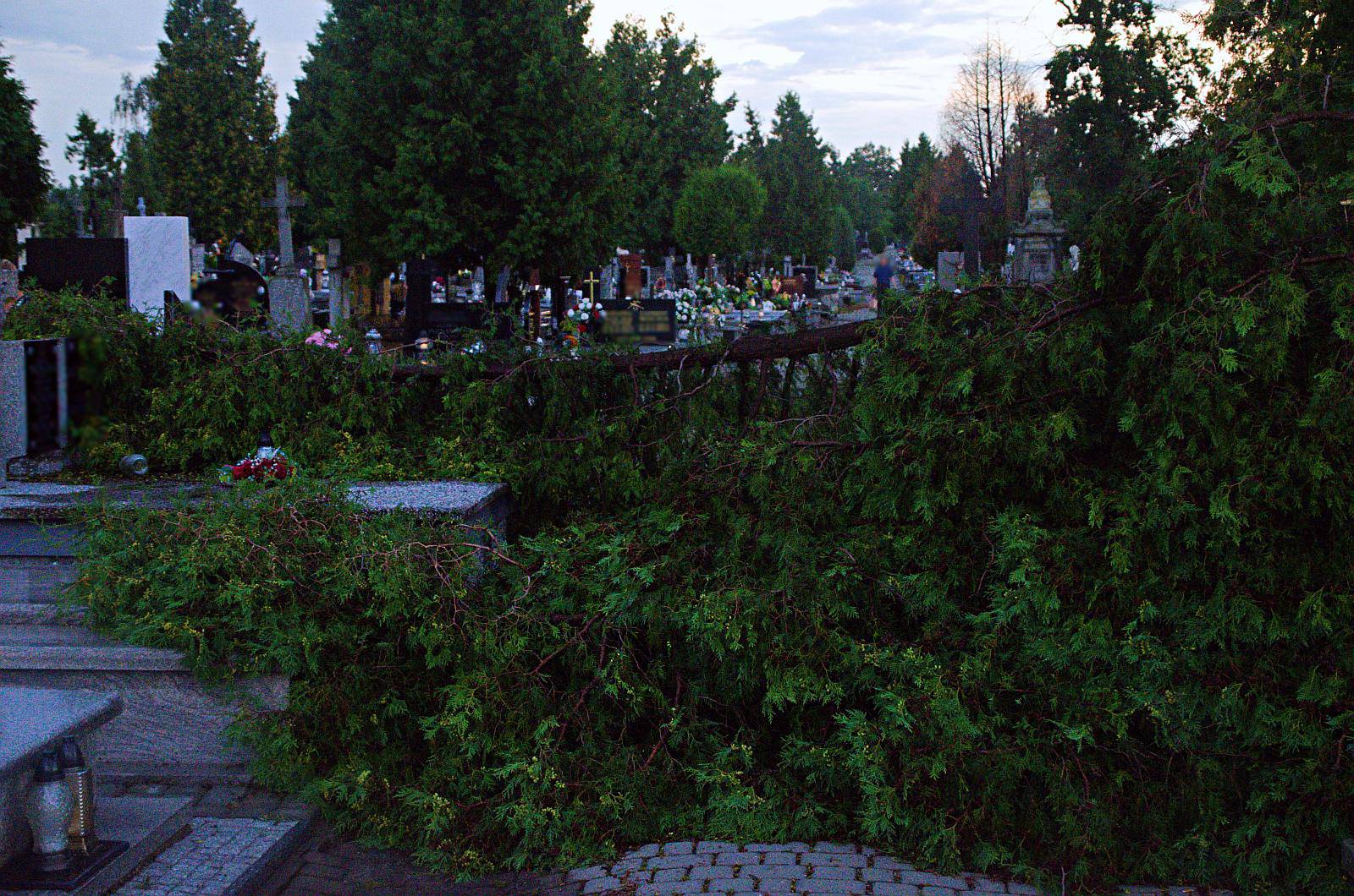 Nawałnica
