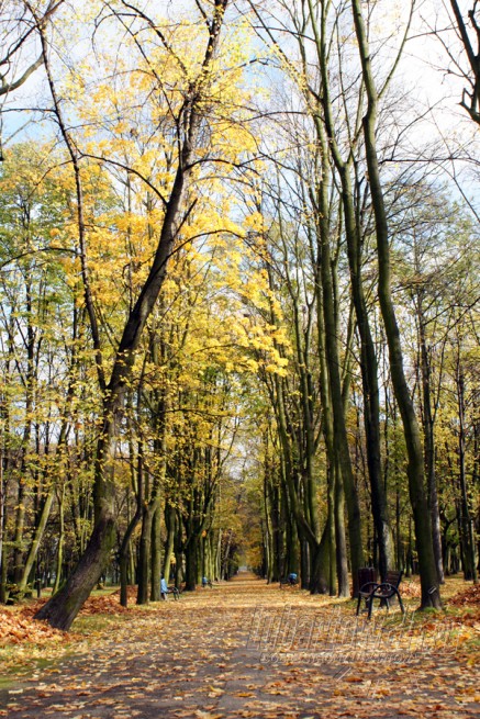 Jesień