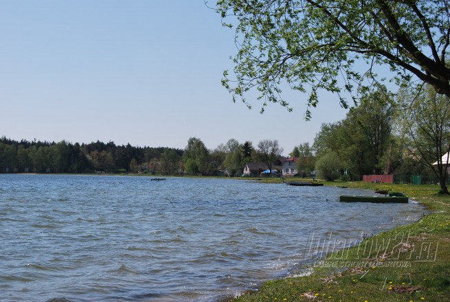 FIRLEJ