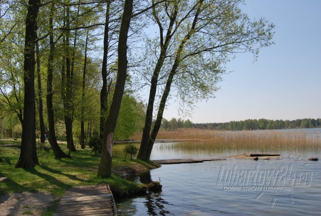 FIRLEJ