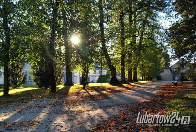 kozłówka