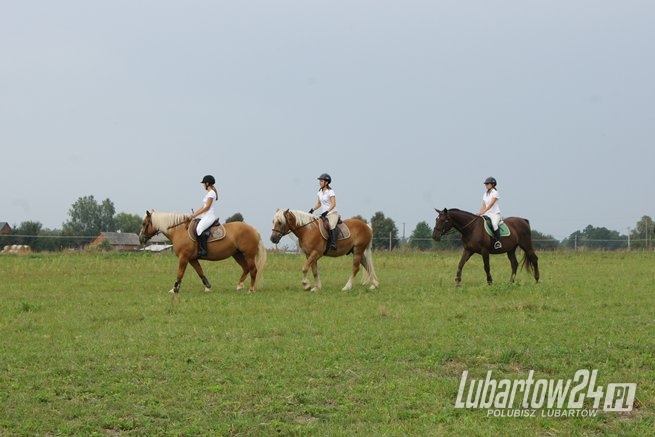 Zawody jeździeckie w Kamionce Grabowym Lesie