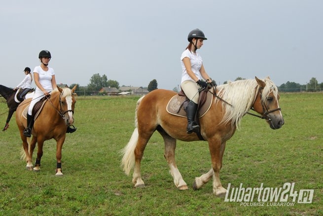 Zawody jeździeckie w Kamionce Grabowym Lesie
