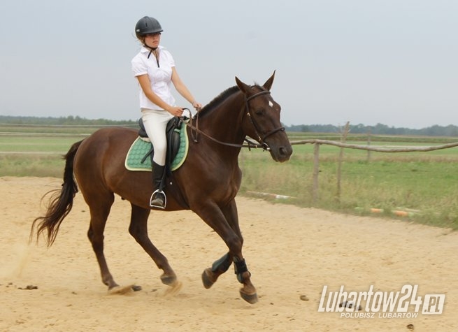 Zawody jeździeckie w Kamionce Grabowym Lesie