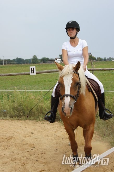 Zawody jeździeckie w Kamionce Grabowym Lesie