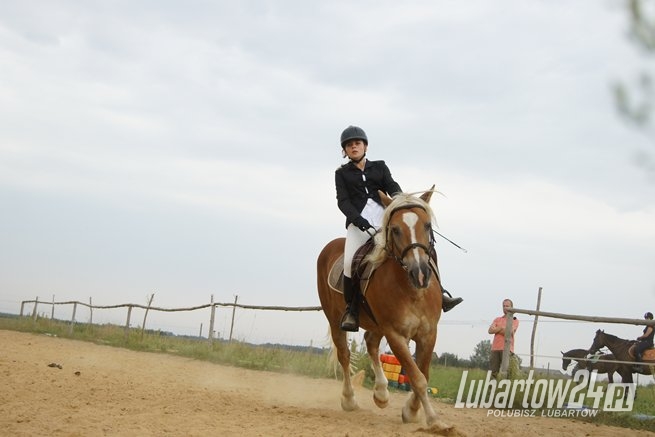 Zawody jeździeckie w Kamionce Grabowym Lesie