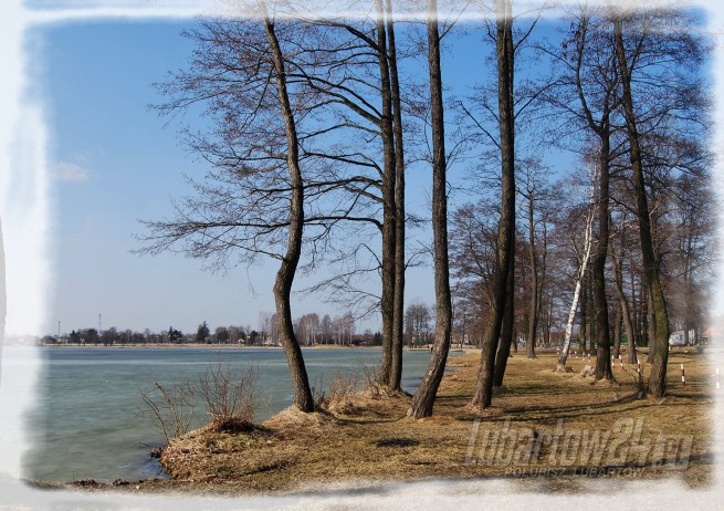 Firlej wiosna