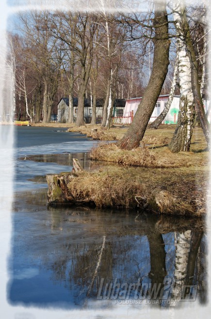 Firlej wiosna