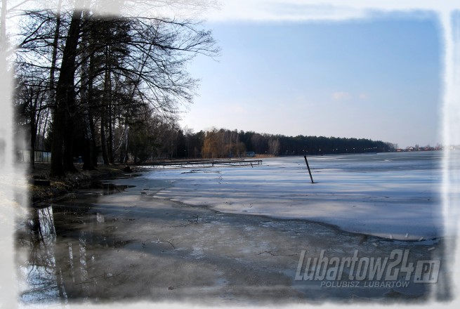 Firlej wiosna
