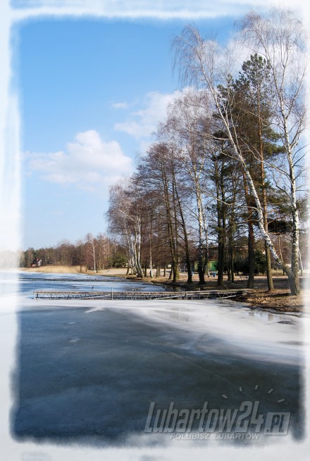 Firlej wiosna