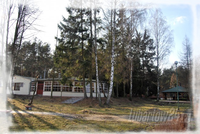 Firlej wiosna