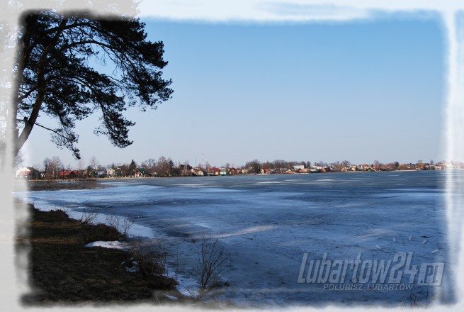 Firlej wiosna