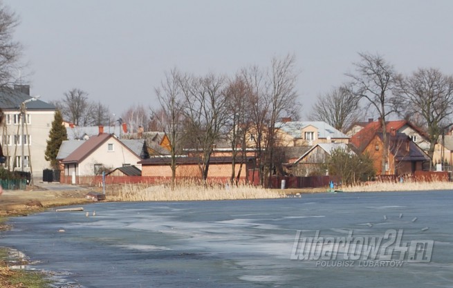 Firlej wiosna