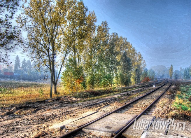 Lubartów
