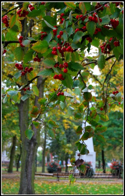 Park