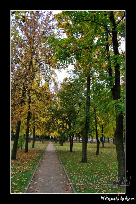 Park