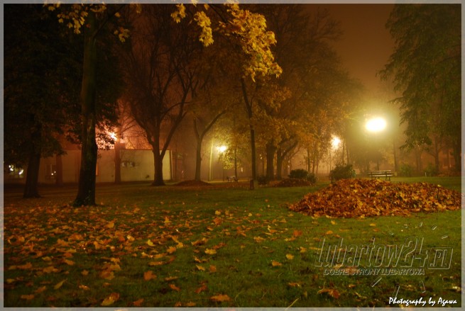 Firlej