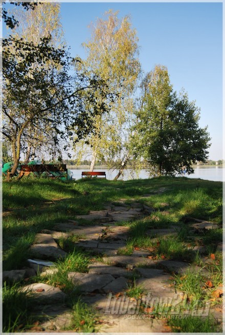 Firlej