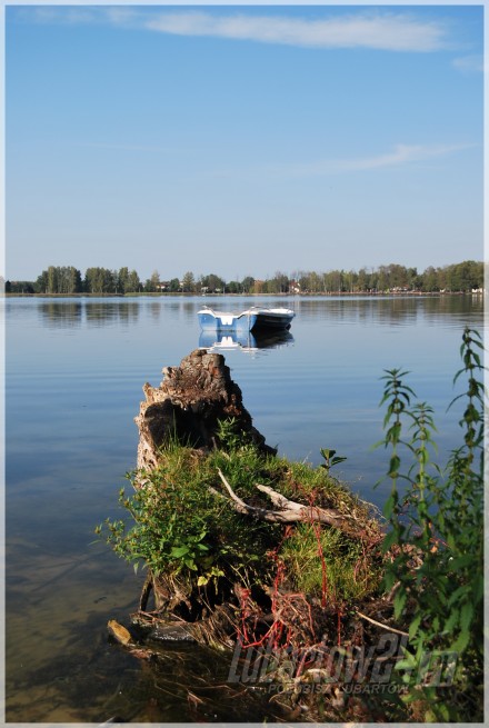 Firlej
