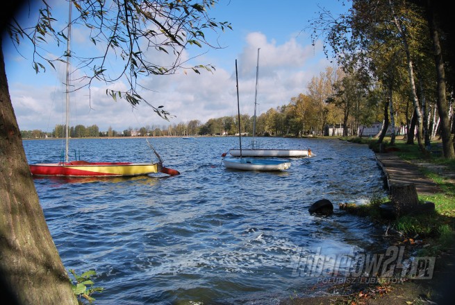 Firlej