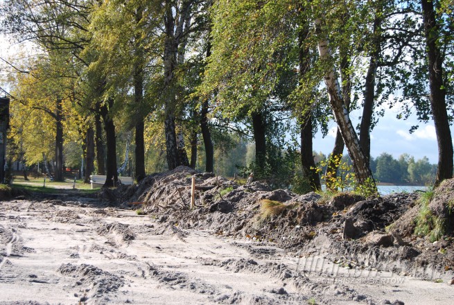 Firlej