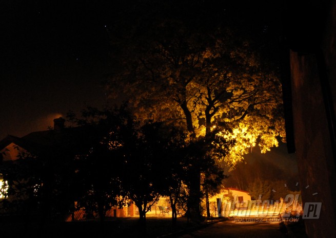 Firlej
