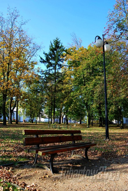 Firlej