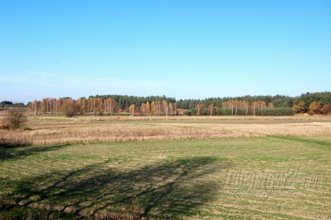 jesień
