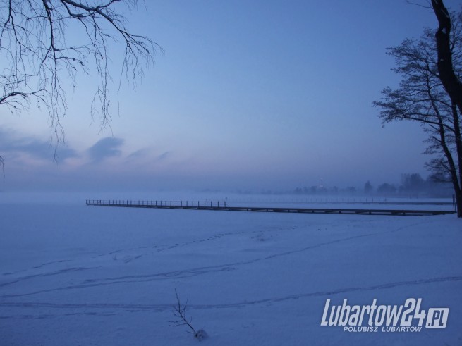 Firlej zimą