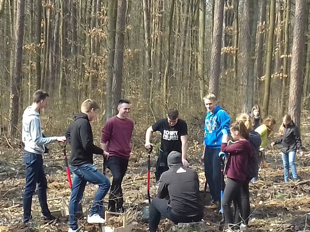 Uczniowie II LO sadzili las