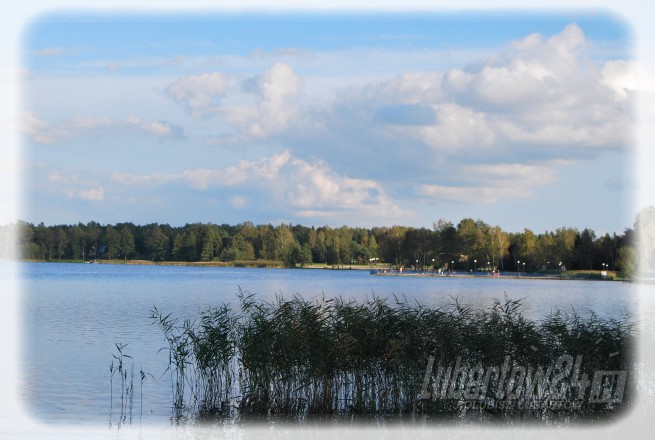 Firlej