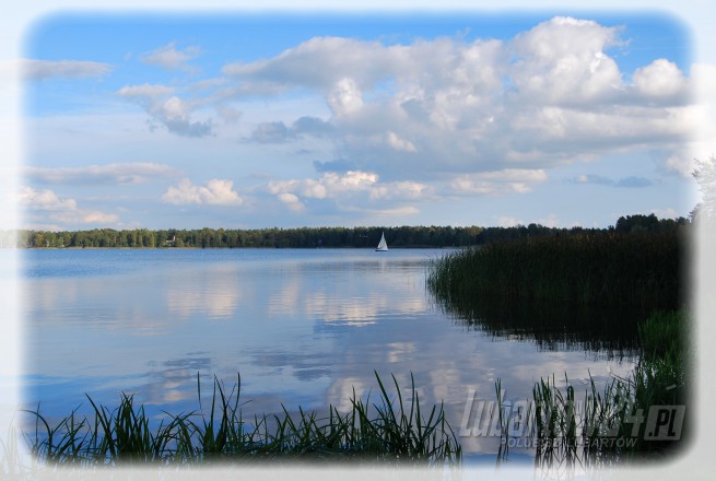 Firlej
