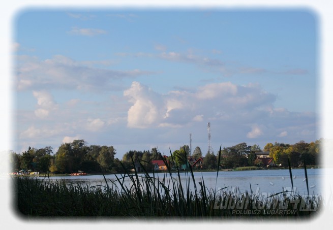 Firlej