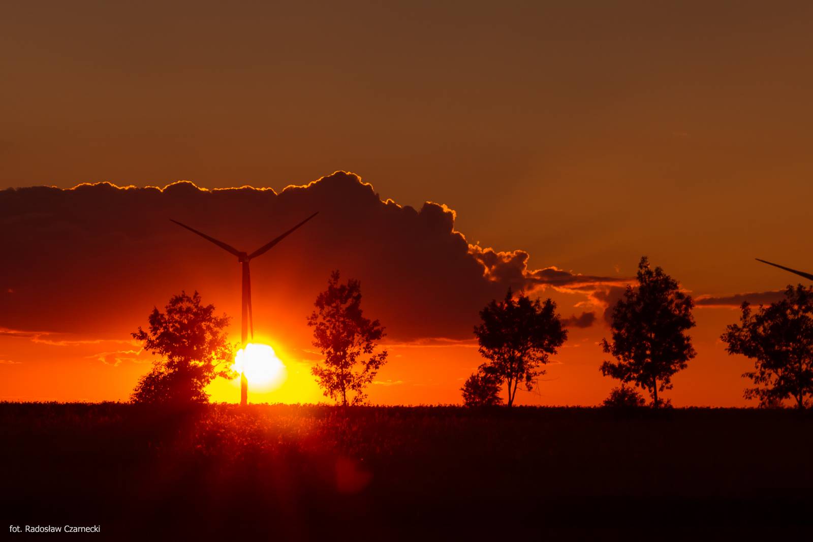 Farma Wiatrowa Lubartów