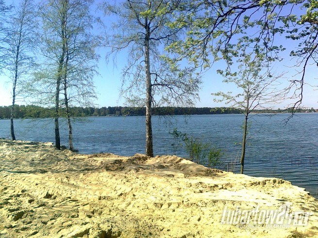 Firlej