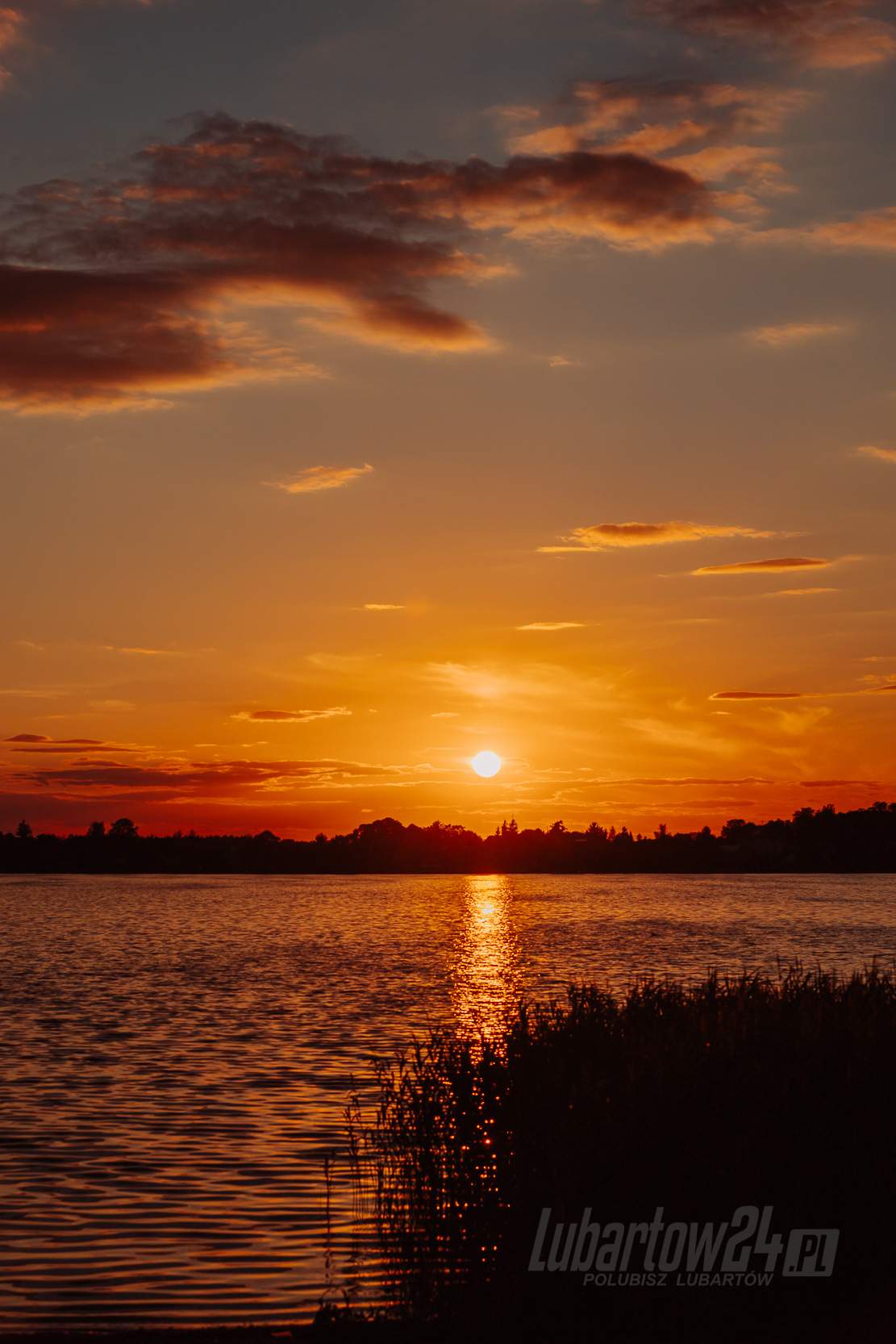 Firlej