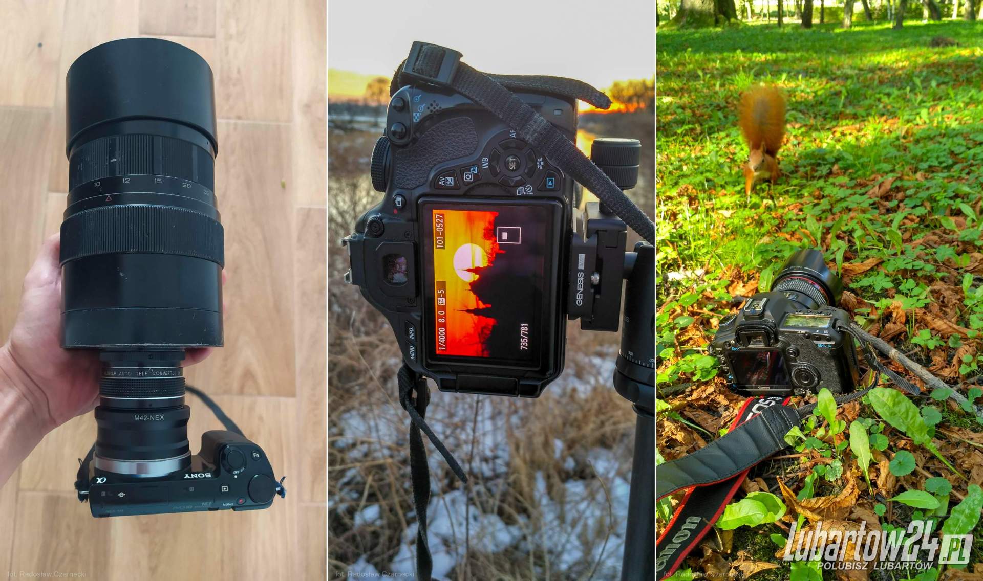 Światowy Dzień Fotografii