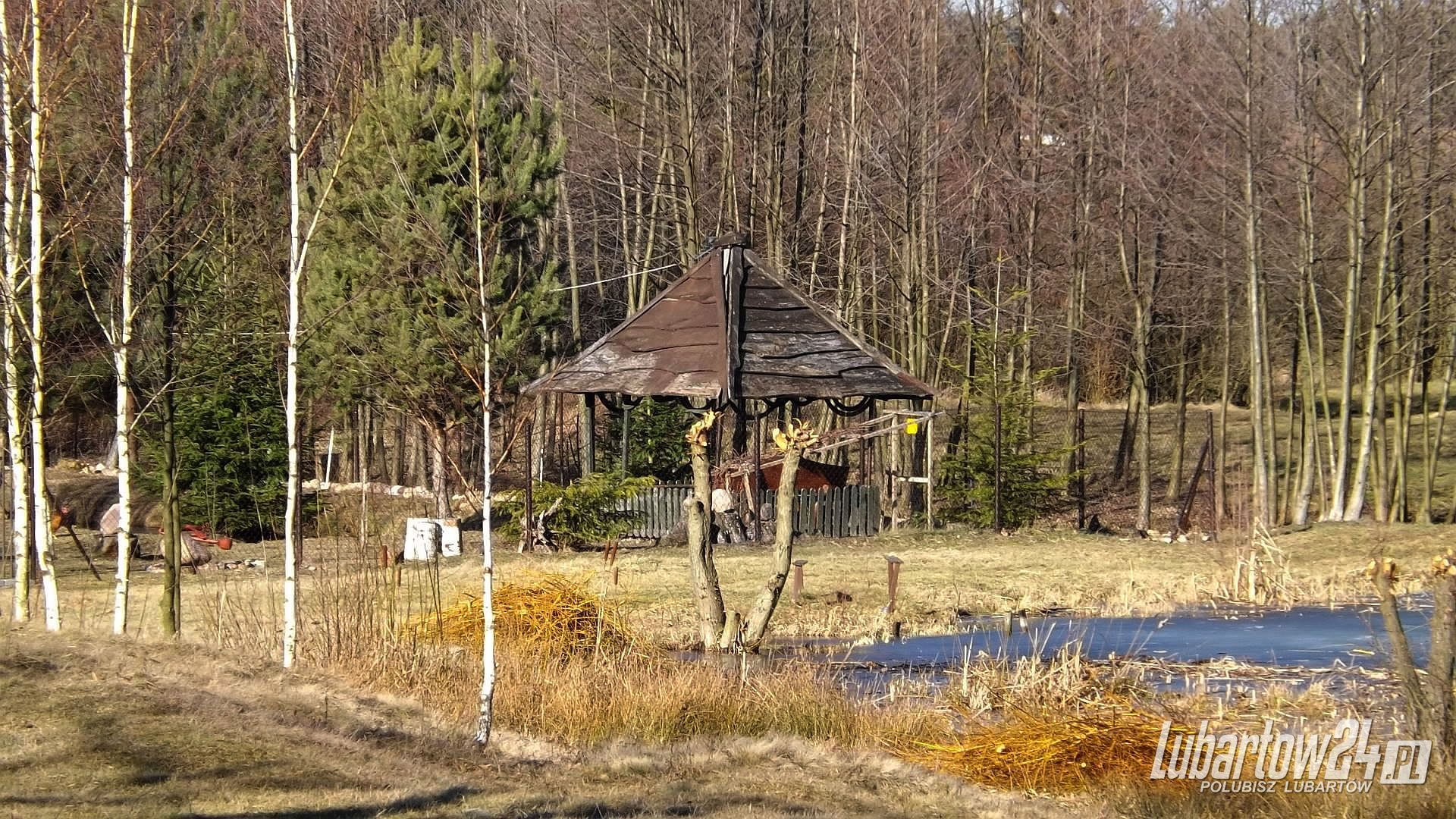 Dąbrówka - luty 2016