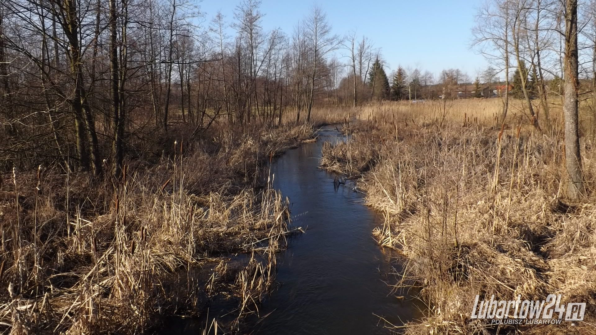 Rzeka Ciemięga/Minina w Dąbrówce