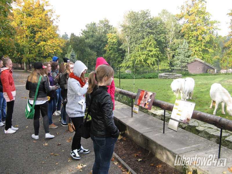 ZOO