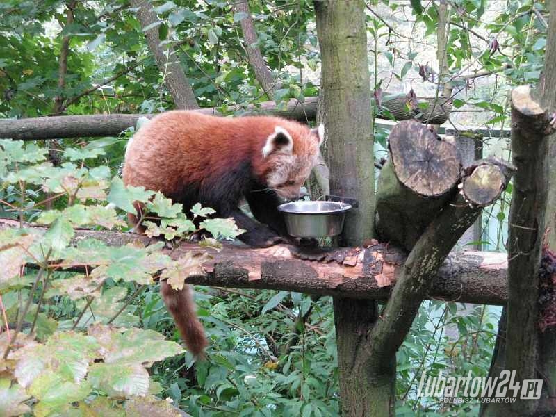 ZOO