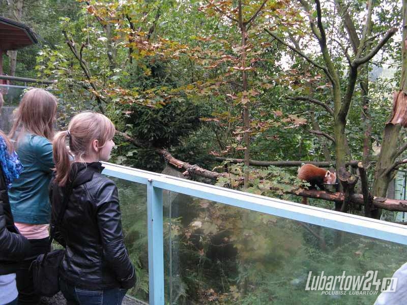 ZOO