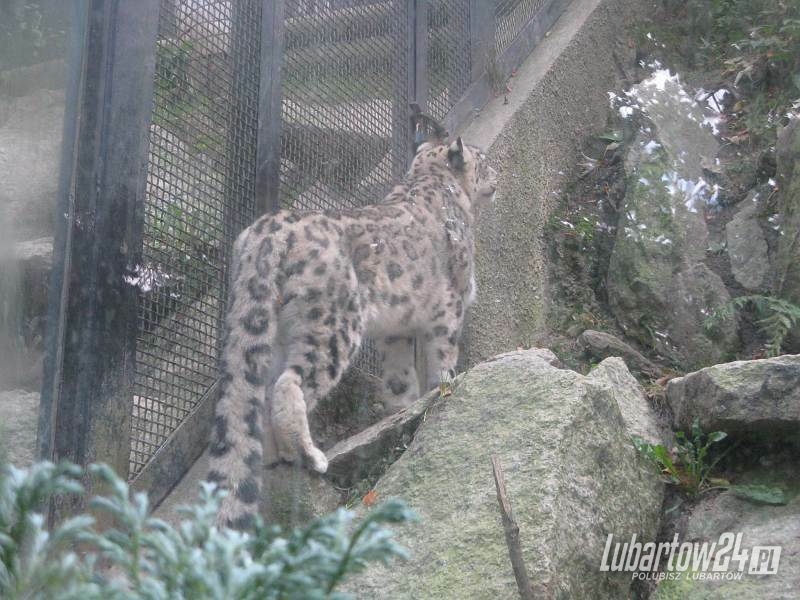 ZOO