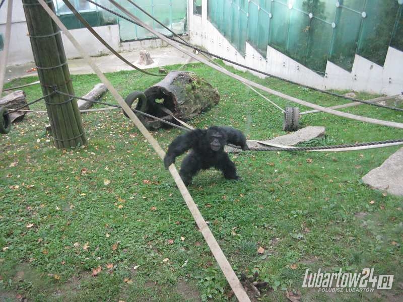 ZOO